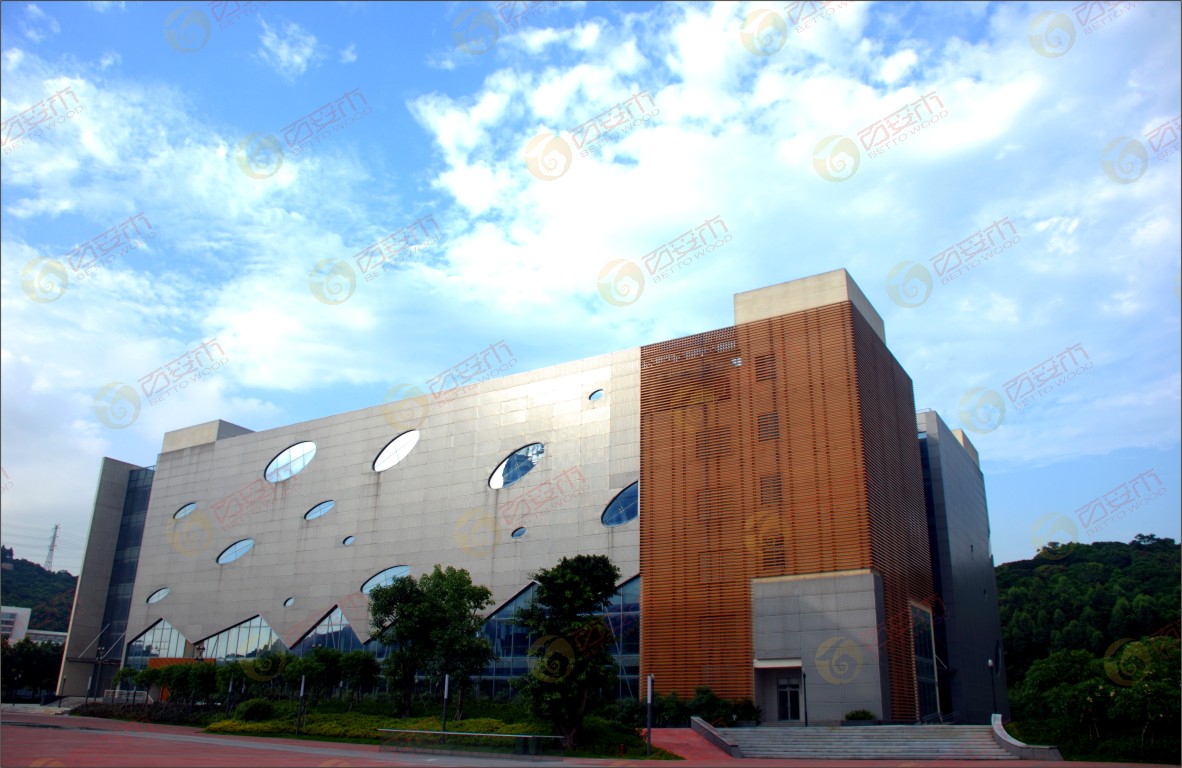 廣州蘿崗三星建筑外墻格柵2