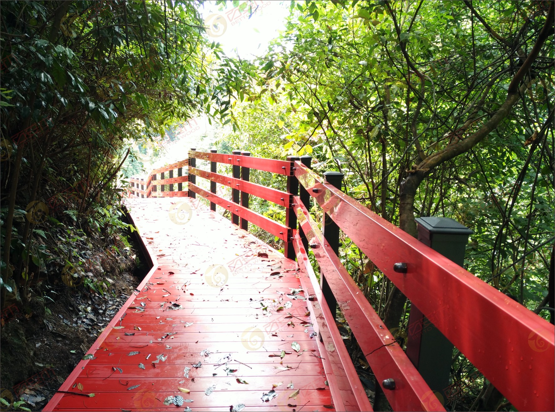 塑木棧道成為一道靚麗的風景